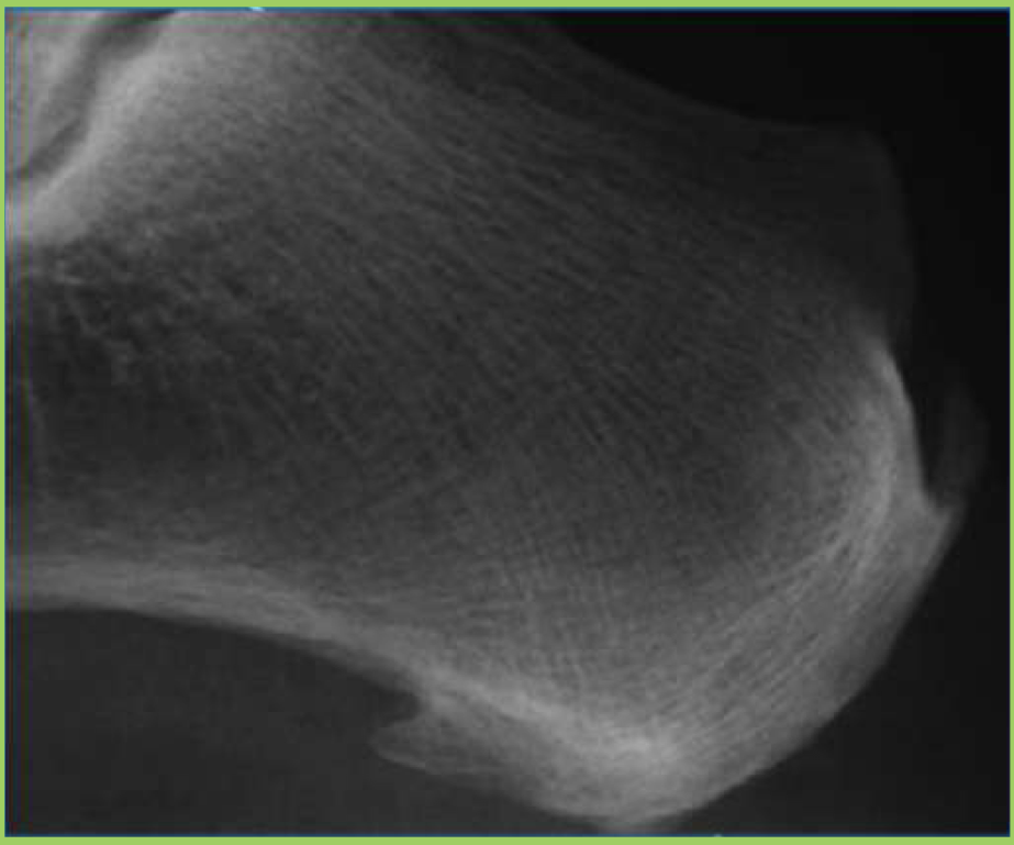 <p>What two things are found on this image</p>