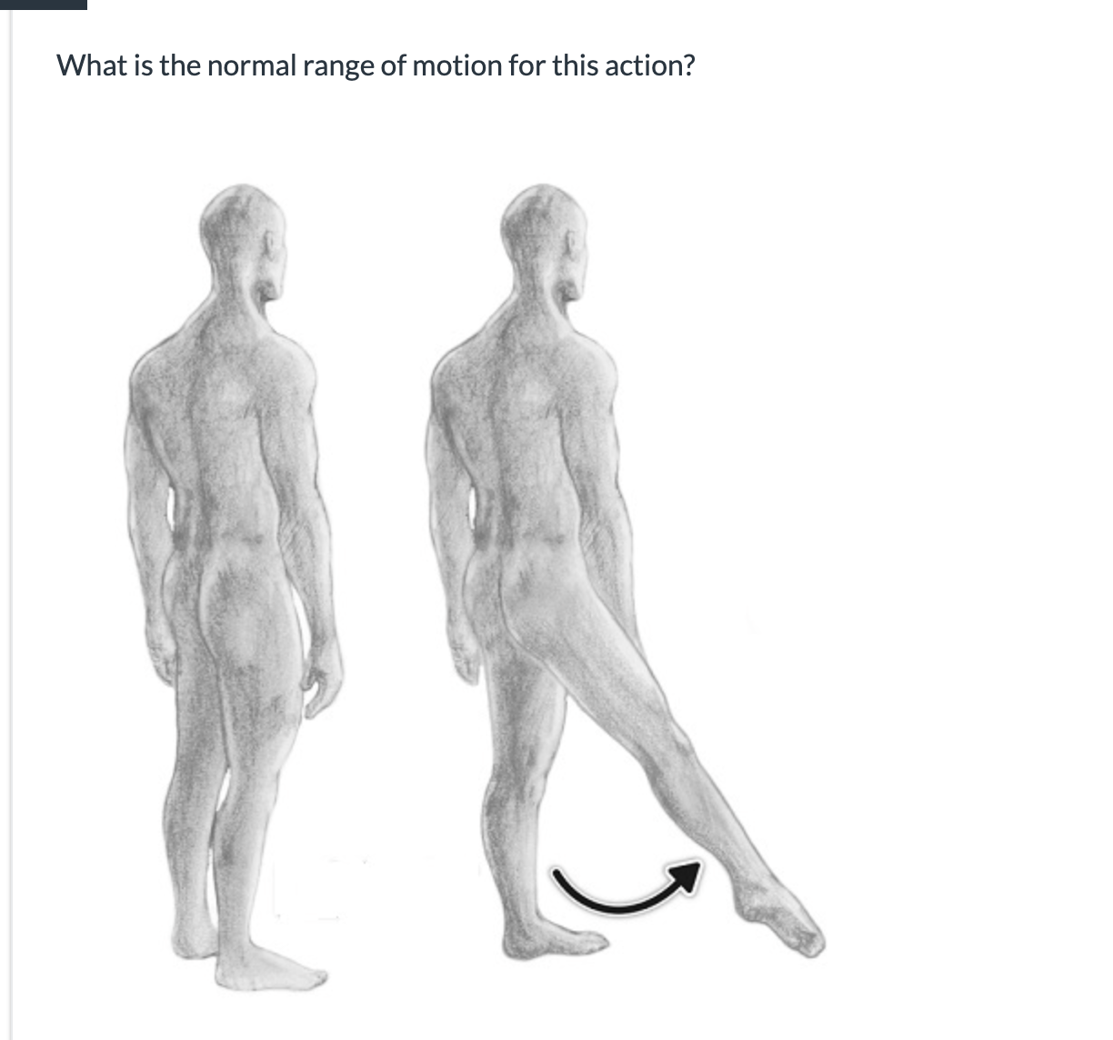 <p><span>What is the normal range of motion for this action?</span></p>