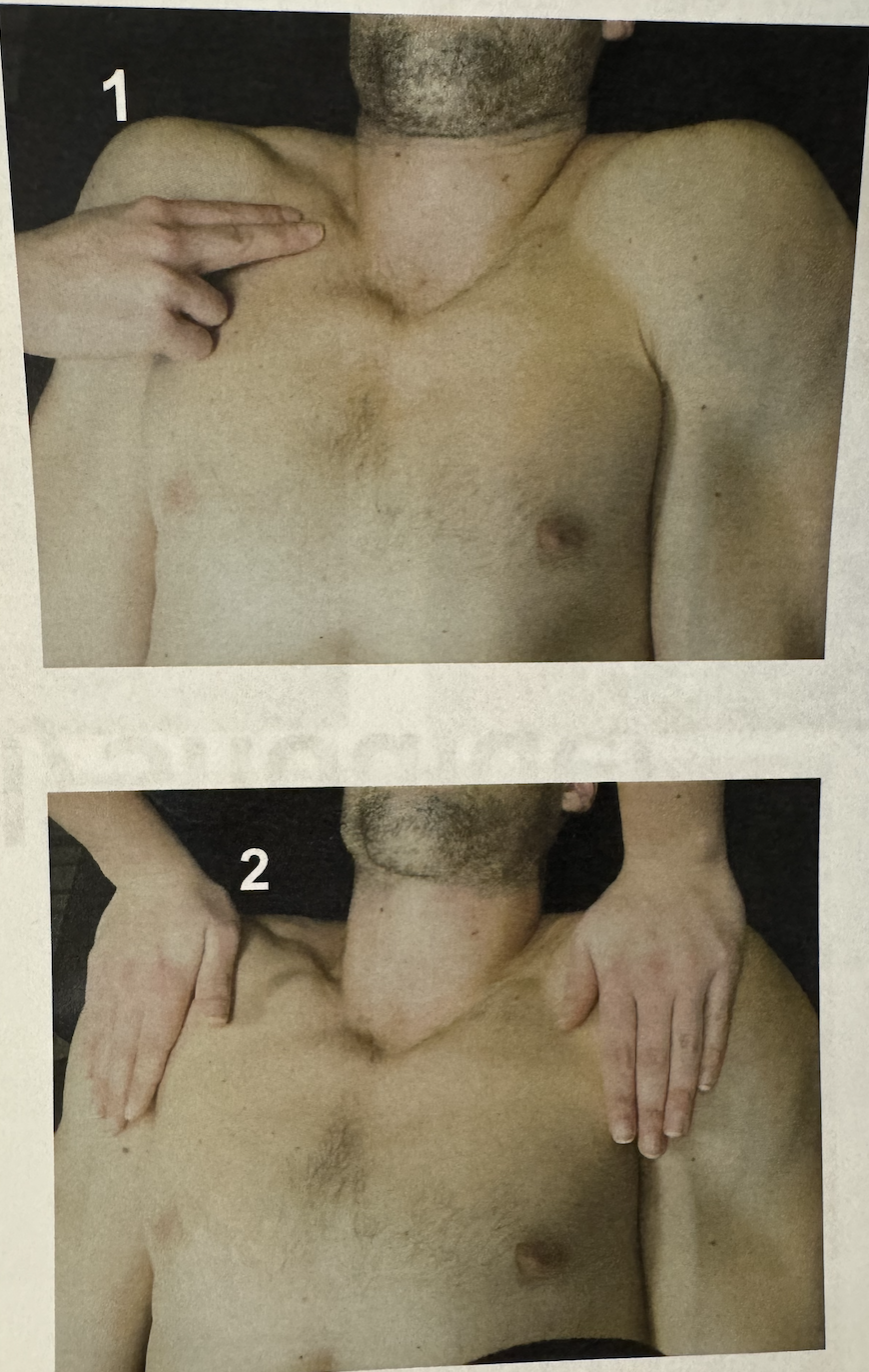 <ul><li><p>position: supine have patient lift scapula off table (anteriorly tilts scapula)</p></li><li><p>stabilize: opposite shoulder</p></li><li><p>palpate: too deep</p></li><li><p>resistance: in posterior direction, back to neutral scapular position</p></li></ul><p></p>