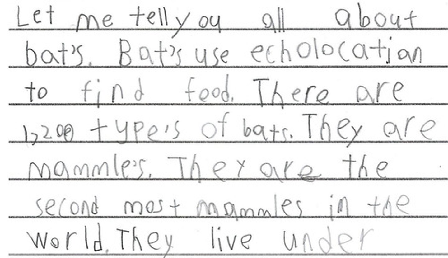<p>students' skills or knowledge become firmly established - they have mastered most letter sounds and can decode words quickly and fluently</p>
