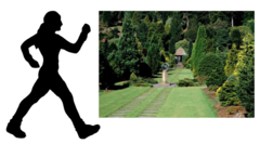 <p>I'm going out to the yard.</p>