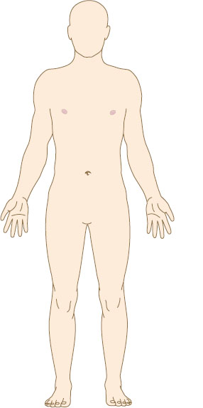 <p>The body is erect and facing forward, with the arms at the sides, palms facing forward, and toes pointing forward.</p>