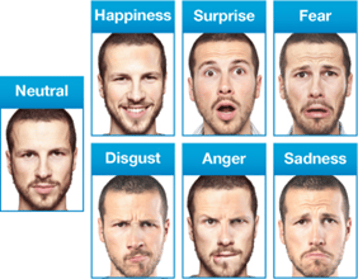 <p>Are akin-aging factors over which we have little control</p>