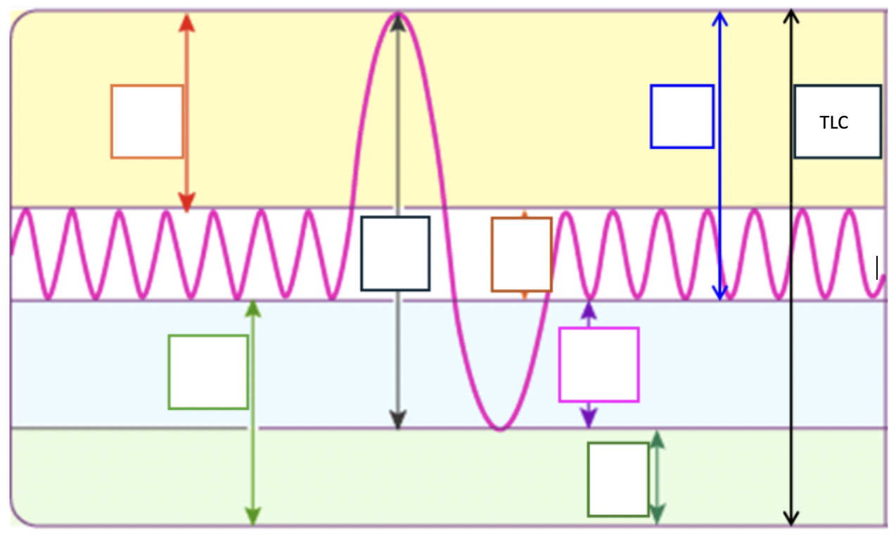 <p>Max amount of air that lungs can contain </p><p>RV + VC</p>