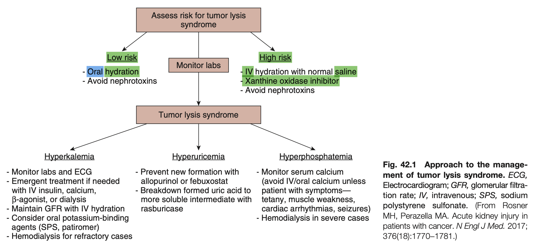 <ul><li><p><strong>Answer:</strong> b</p></li><li><p><strong>Reference:</strong> Chapter 42, Onconephrology: Kidney Disease and Cancer, Page 1410 (Fig 42.1).</p></li><li><p><strong>Explanation:</strong> <strong>Option b</strong> is the recommended management for high-risk patients. <strong>Option a</strong> is for low-risk patients. <strong>Option c</strong> is not recommended because it increases the risk of calcium phosphate precipitation. <strong>Option d</strong> is reserved for established TLS with severe AKI or electrolyte disorders, not as standard prophylaxis.</p></li></ul><p></p>