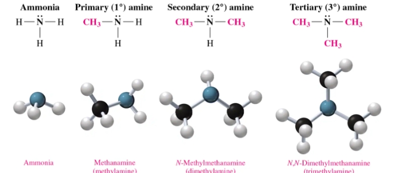 <p><span>Substituted amines are organic compounds derived from ammonia () where one or more hydrogen atoms are replaced by alkyl or aryl (carbon-based) groups. They are classified as primary, secondary, or tertiary based on the number of organic groups attached to the nitrogen atom.</span></p>