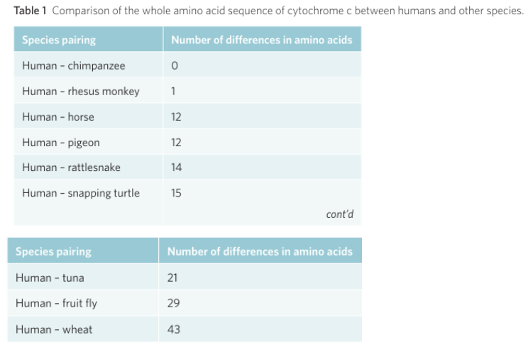 <p>Using this, explain:</p><ul><li><p>Outline which species is closest/most related to humans in their amino acid sequence of cytochrome c<span style="background-color: inherit;"> (go from descending order up to 5th most related don’t do all)</span></p></li></ul><p></p>