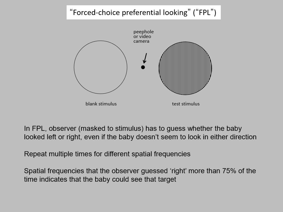 <p>The test is repeated across multiple spatial frequencies.<br>If the observer correctly guesses the stimulus side >75% of the time, it indicates the infant can see that spatial frequency.</p>