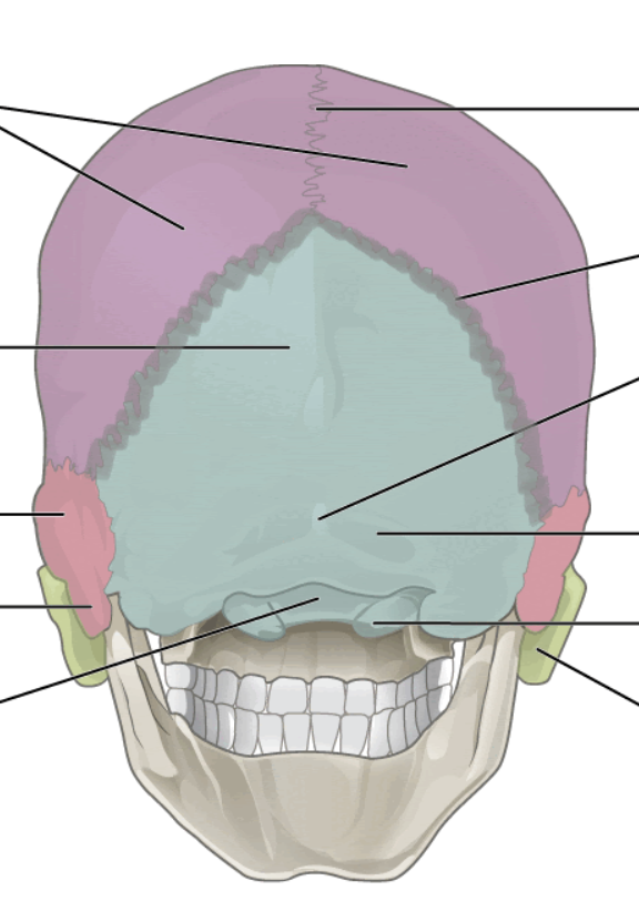 <p>What is the grey line?</p>