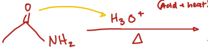 <p>Amide + H3O+ & heat</p>