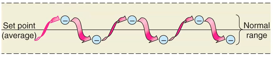 <p>Can you describe this image?</p>