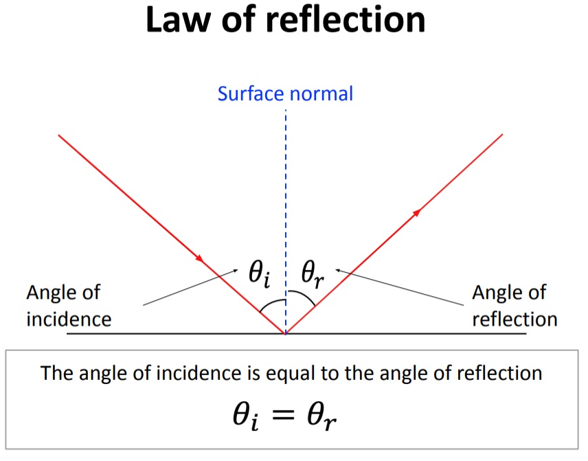 <ul><li><p>surface normal is perpendicular to surface from which light reflects</p></li><li><p>$$\theta i$$ = incoming angle  </p></li><li><p>$$\theta r$$ = angle of reflection</p></li><li><p>yi and yr</p></li></ul><p></p>