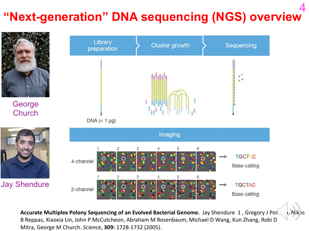 <p>1. Library preparation</p><p>2. Cluster growth / cluster generation</p><p>3. Sequencing by synthesis</p><p>4. Imaging/base calling and downstream analysis</p><p>Lecturer explanation:</p><p>Illumina adapted sequencing chemistry to a flow-cell surface so millions of molecules could be sequenced in parallel.</p>