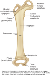 <p>Series of fractures that impact the physis (growth plate)</p><p>Disruption through trauma can lead to chronic complications (e.g. growth arrest)</p>