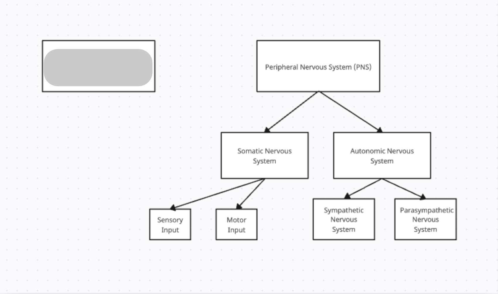 <p>Includes the brain &amp; spinal cord. Acts as the command center; processing information &amp; sending instructions through the body.</p>