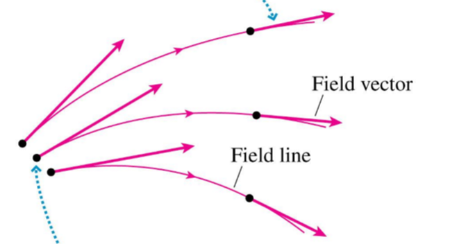 <p>electric field vectors are </p>