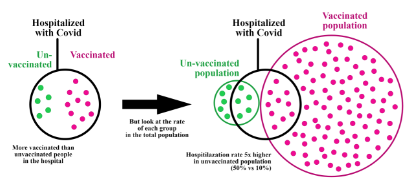 <p>Base rate neglect. The anchor is utilizing the representativeness heuristic and completely ignoring the total population size (the denominator), failing to realize that the vaccinated group in the general population is vastly larger than the unvaccinated group</p>