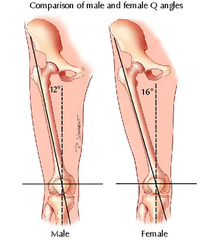 <p>degree of angle when measureing from midpatella to ASIS and tibial tubercle. normal q angle is 13 degrees for man and 18 degrees for a woman.</p>