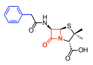 <p>Beta lactam/penicillin, inhibits peptidoglycan = no cell wall</p>