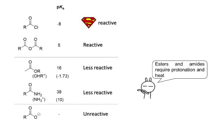 <p>Review</p>
