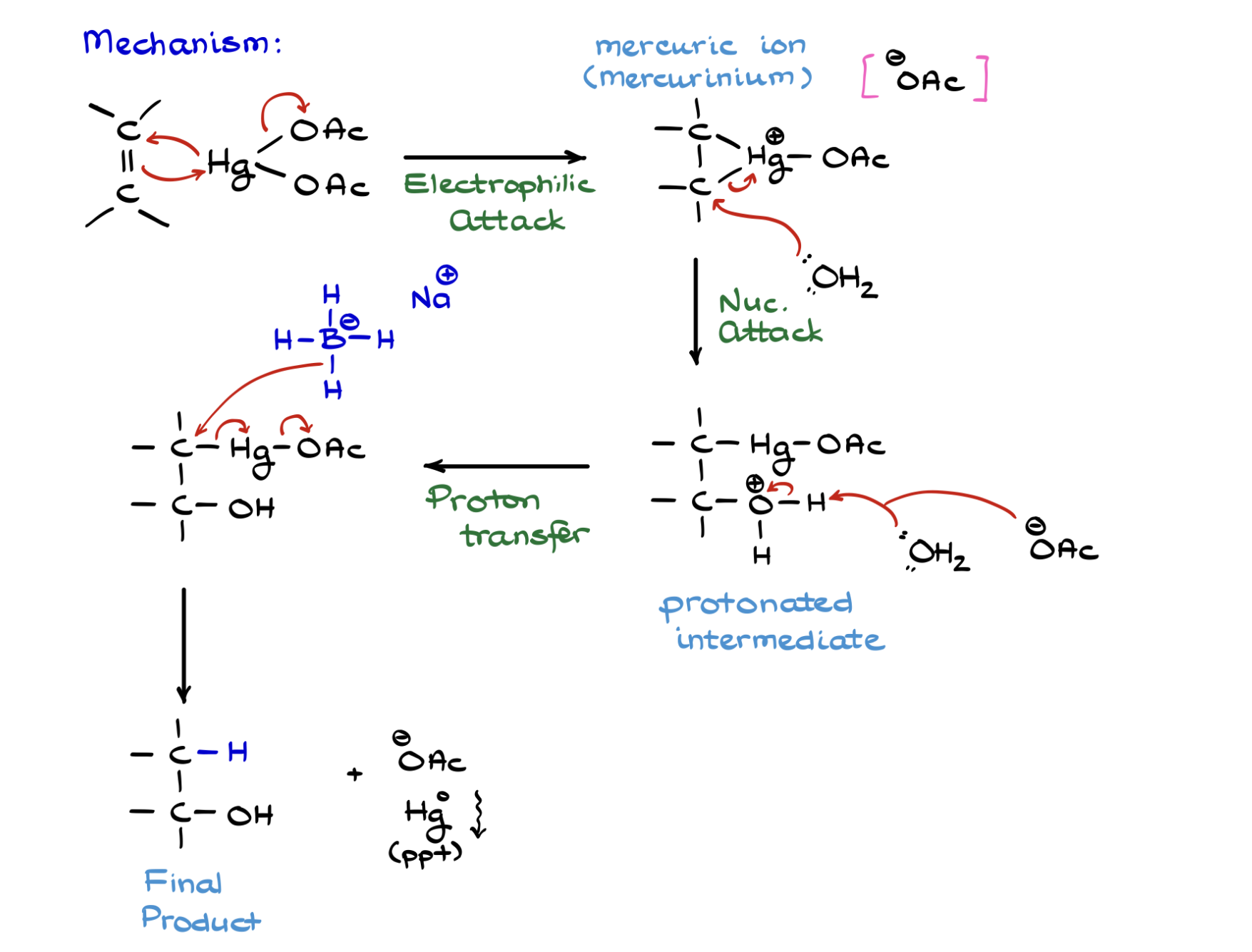 <p>☆ <strong>what is the mechanism of oxymercuration–demercuration?</strong></p>