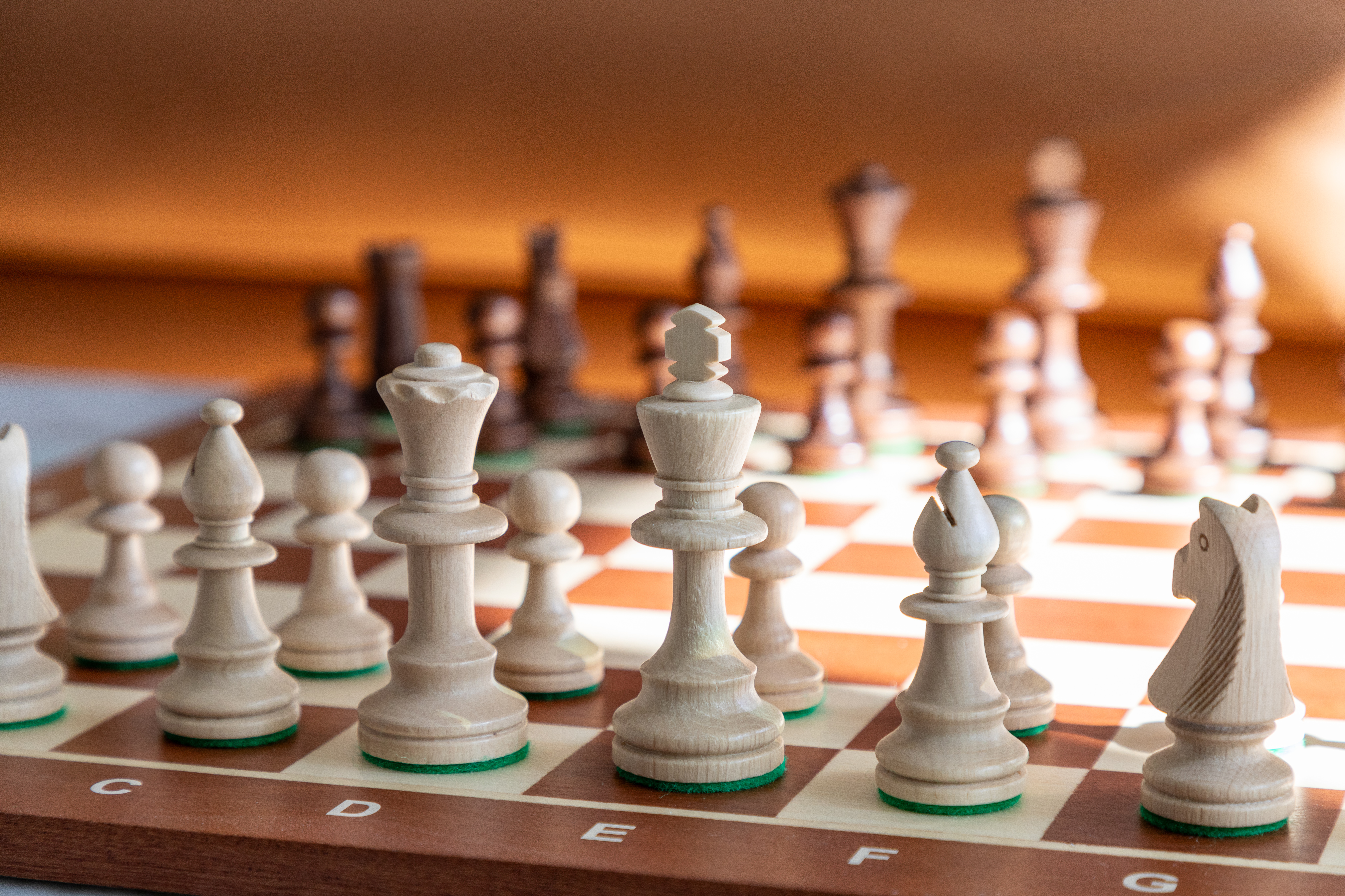 <p>chess (n) /tʃes/</p>