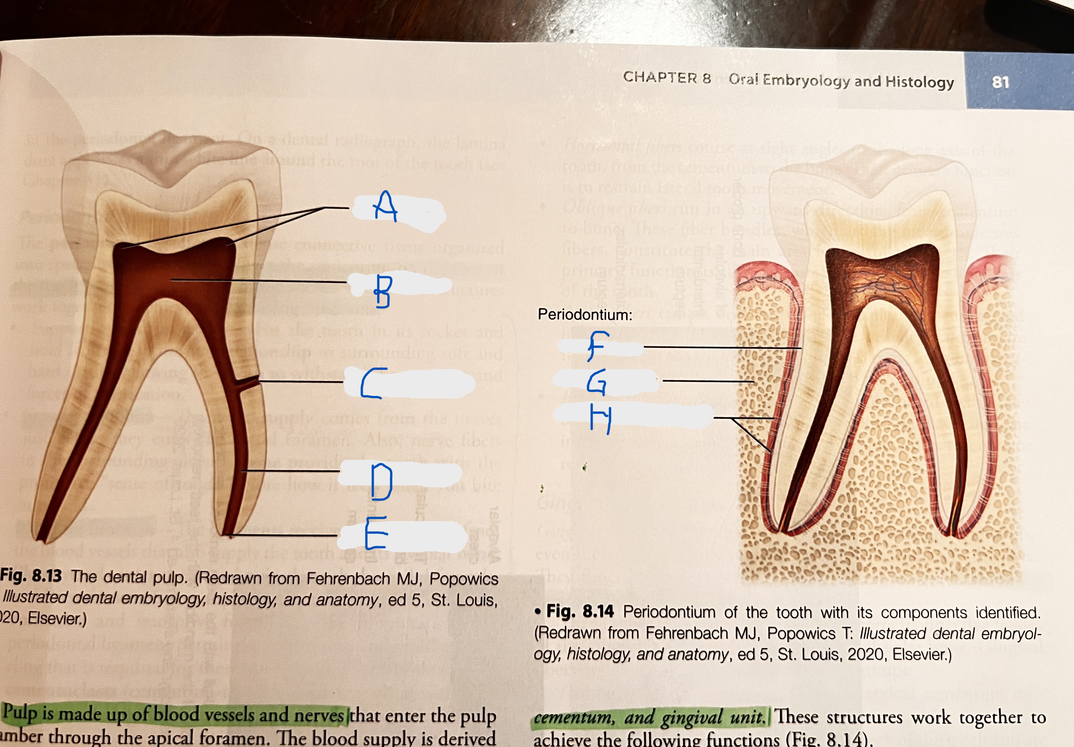 <p>What is E?</p>