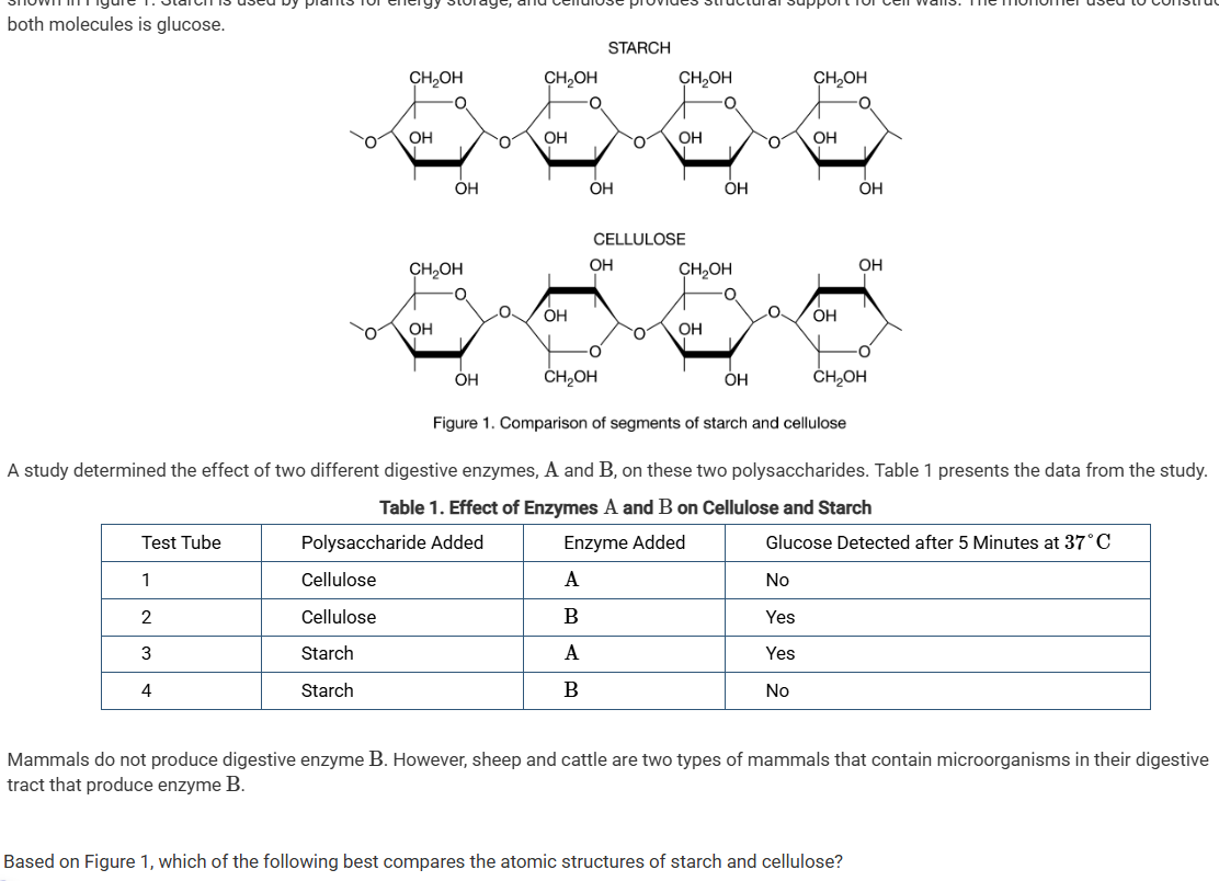 <p>Different polysaccharides are used by plants for energy storage and structural support. The molecular structures for two common polysaccharides are shown in Figure 1. Starch is used by plants for energy storage, and cellulose provides structural support for cell walls. The monomer used to construct both molecules is glucose.</p><p>Mammals do not produce digestive enzyme B. However, sheep and cattle are two types of mammals that contain microorganisms in their digestive tract that produce enzyme B.</p><p>Which of the following best describes the process that adds a monosaccharide to an existing polysaccharide?</p><p>A) The monosaccharide is completely broken down by a specific enzyme and then the atoms are reorganized and made into a polysaccharide.</p><p>B) Ionic bonds are formed between adjacent carbon atoms of the monosaccharide and the polysaccharide by adding water (H2O) and a specific enzyme.</p><p>C) A specific enzyme removes the hydrogen (H) from the monosaccharide and the hydroxide (OH) from the polysaccharide, creating a bond between the two and creating a water (H2O) molecule.</p><p>D) A specific enzyme removes two hydroxides (OH), one from the monosaccharide, and one from the polysaccharide, creating a bond between the two monosaccharides and creating a hydrogen peroxide (H2O2) molecule.</p>