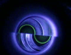 <p>Increase</p>