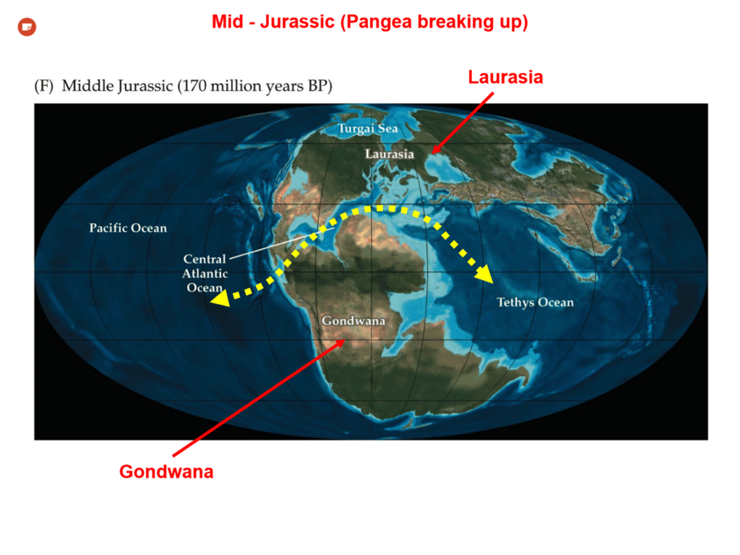 <p>Jurassic 145 million years ago. India has broken off of Gondwanaland</p>