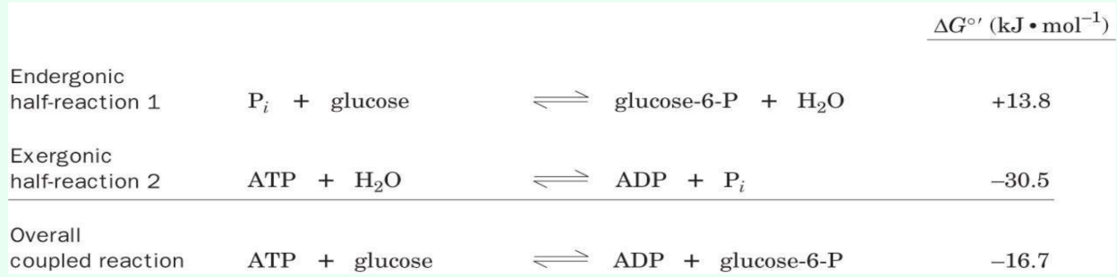 <p>What is required for reaction coupling?</p>