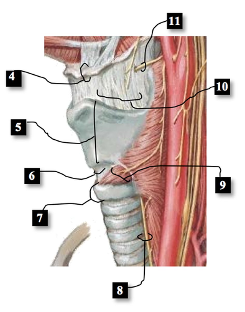 <p>9</p>