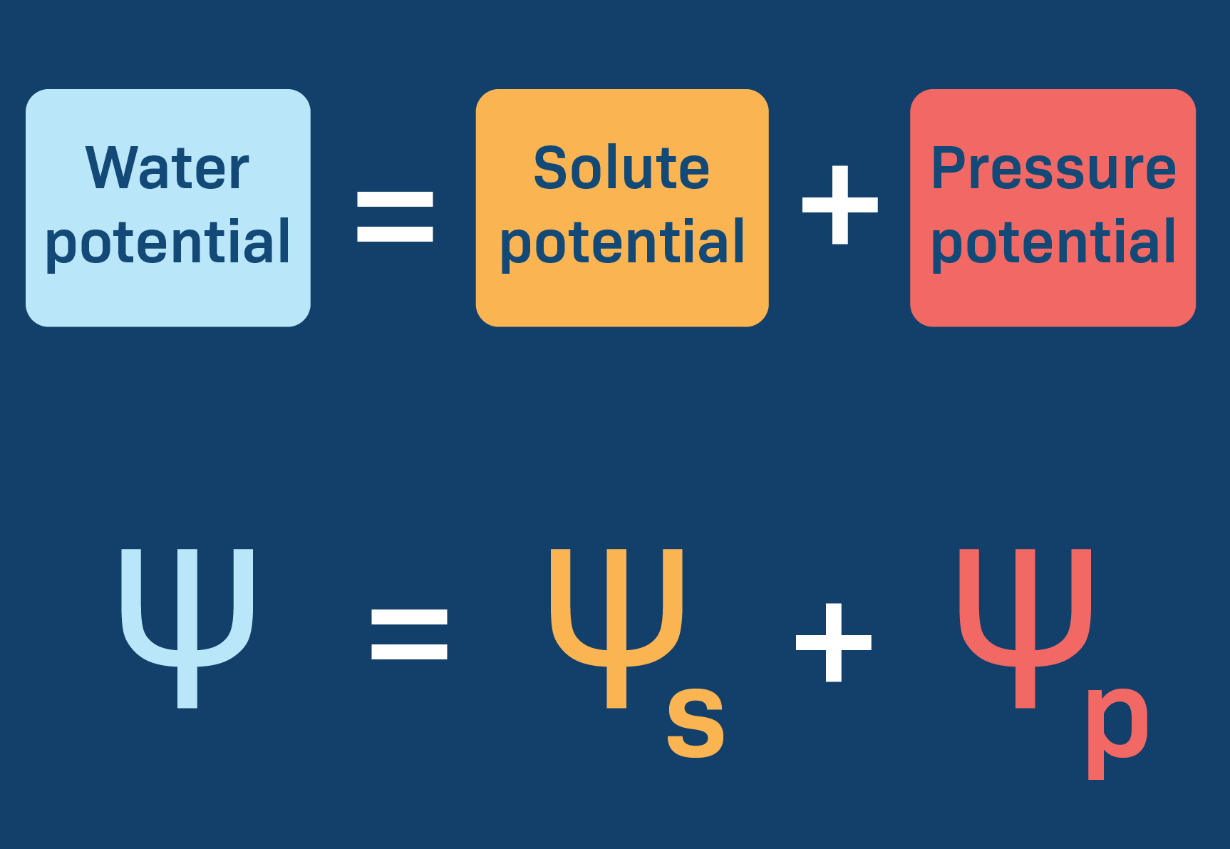 <ul><li><p>Water potential=pressure potential + solute potential</p></li><li><p>You will be given the pressure potential or if not then it is 0</p></li><li><p>To find the solute potential, you need to plug in -iCRT formula</p></li><li><p>To find i: i is the ionization constant; if it is a compound ending in “ose” then it equals 1; if it is salt, then it equals 2</p></li><li><p>C is the concentration of solute; will be given</p></li><li><p>R is the pressure constant: 0.0831(liters-bars)/(mole-K); formula will be provided</p></li><li><p>T is the temperature IN KELVIN</p></li></ul><p></p>