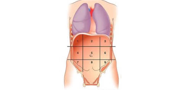 <p>What region is labeled as 8?</p>