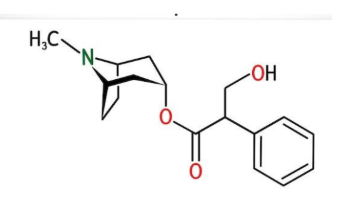 <p><strong>IDENTIFY THE STRUCTURE:</strong></p>