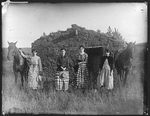 <p>homesteading </p>