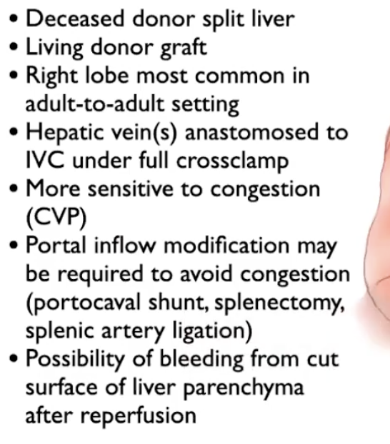 <ul><li><p>Used most commonly at UHN for living liver transplant when donor graft from right lobe implanted into recipeint </p></li><li><p>Can also be used in deceased donor split liver tranpslantation </p></li><li><p>preserves inferior vena cava of recipient </p></li><li><p>branches of hepatic veins are anastamosed to inferior vena cava directly </p></li><li><p>this graft is move sensitive to cvp in recipient because it is smaller part of the liver so more predisposed to venous congestion </p></li><li><p>sometimes amount of blood flow of liver into portal veins needs to be adjusted to reduce congestion - fixed through splenic artery ligations, splenctomy or portal cava shunt </p></li><li><p>More common in split liver deceased donotion, less common in living donor - signficant bleeding from cut surface of liver parenchyma after reperfusion </p></li></ul><p></p>