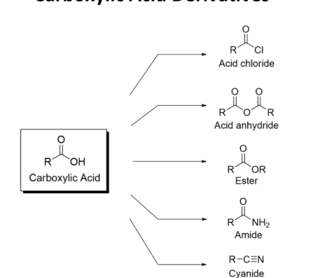 <p><strong><u>Carboxylic Acid _______ </u></strong></p><ul><li><p>Acid Chloride</p></li><li><p>Acid anhydride </p></li><li><p>Ester</p></li><li><p>Amide</p></li><li><p>Cyanide </p></li></ul><p></p>