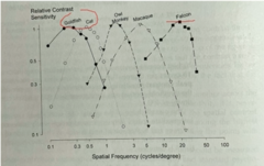 <p>True or False: The following graph shows that different species are able to process different size and ranges of spatial frequency.</p>