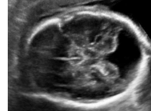 <p>What does this image represent?</p>