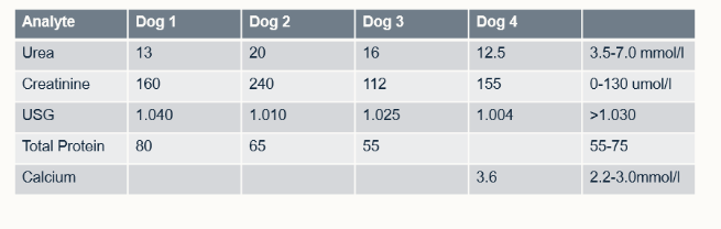 <p>for dog 3, is it pre-renal, renal or post renal?</p>