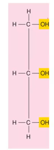 <p>Can you identify this? </p>