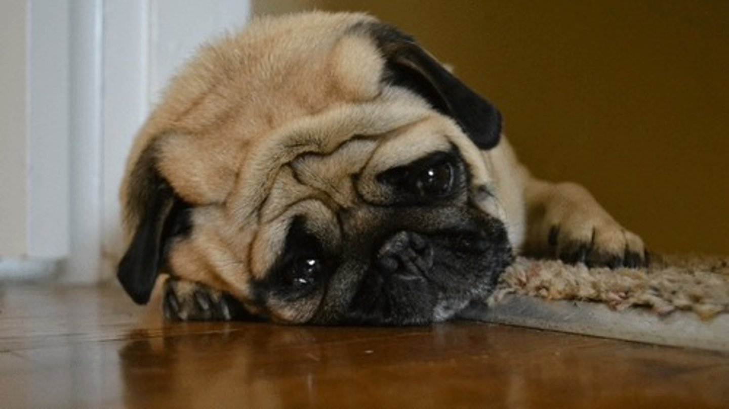 <p>how are you? are you sad, depressed?</p>