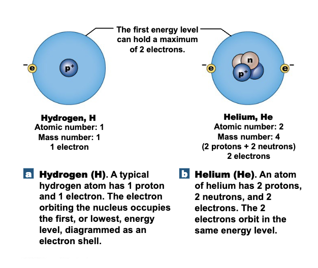 <p>2 electrons max </p>
