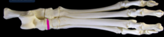 <p>What row</p>