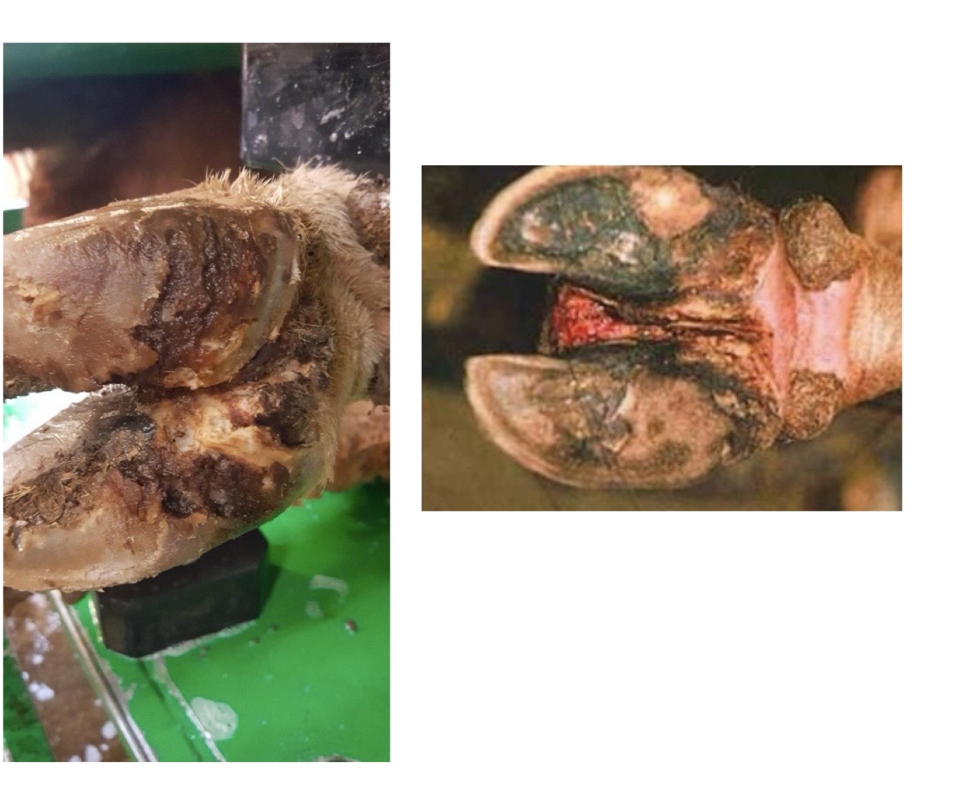 <p>what is this?</p>