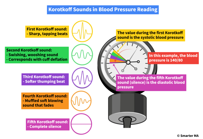 <p>The fourth Korotkoff sound is a softer, blowing, muffled sound that fades.</p><p></p><p><strong>Smarter Simplify</strong> - Korotkoff sounds:</p><ol><li><p>The first Korotkoff sound is a sharp tapping that corresponds to the <strong>systolic blood pressure</strong>.</p></li><li><p>The second Korotkoff sound is a swishing/whooshing sound that is heard as the cuff is deflated.</p></li><li><p>The third Korotkoff sound is a thump that is softer than the first sound.</p></li><li><p>The fourth Korotkoff sound is a softer, blowing, muffled sound that fades.</p></li><li><p>The fifth Korotkoff sound is silence, which corresponds to <strong>diastolic blood pressure</strong>.</p></li></ol><p></p>