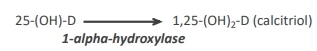 <p>converted into <span>1,25-(OH)2-D = active form of vitamin D (= hormone) by 1-alpha-hydroxylase</span></p>