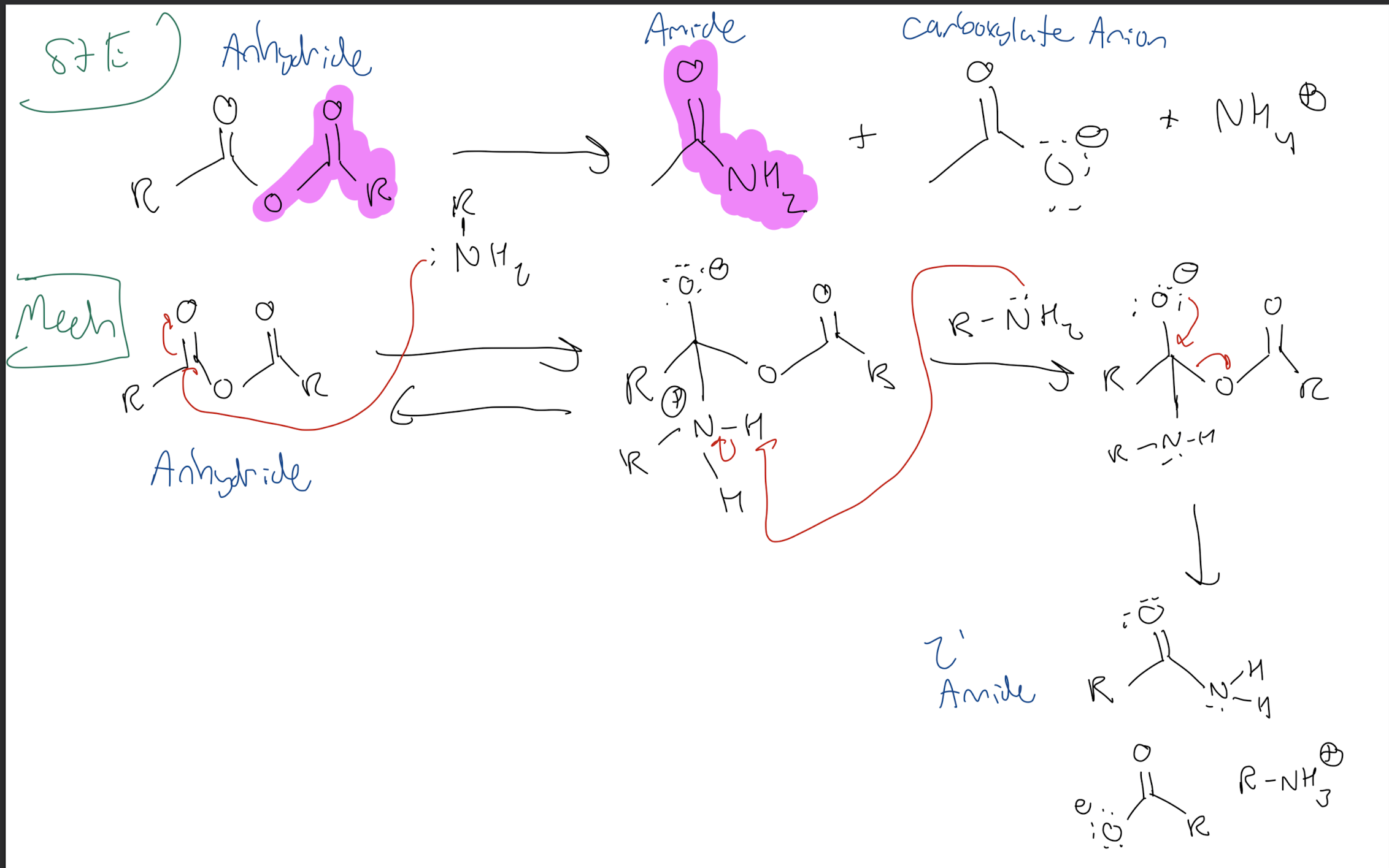 <p><strong>Anhydride → 2° Amide</strong></p>