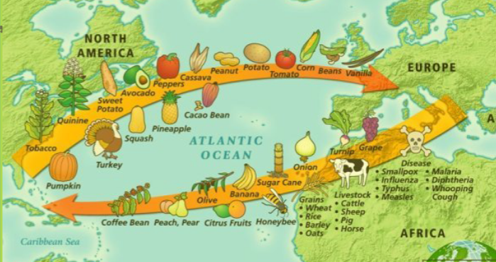 <p>What was the diffusion of plants and animals for the Columbian Exchange?</p>